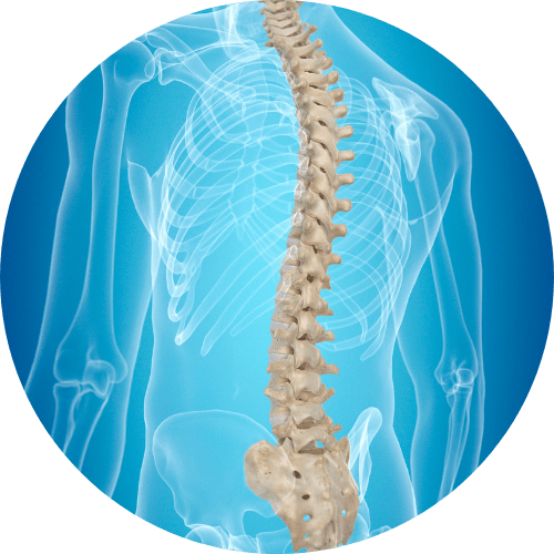 fisioterapia riabilitazione mal di schiena sovizzo
